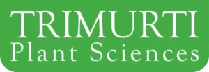 TRIMURTI-LOGO-PNG--scaled