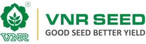 vnr